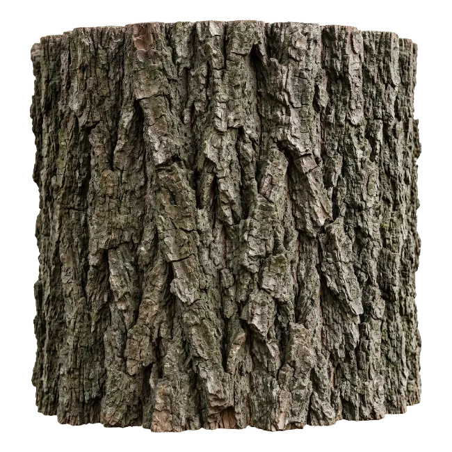 Textured Tree Bark Stump Section