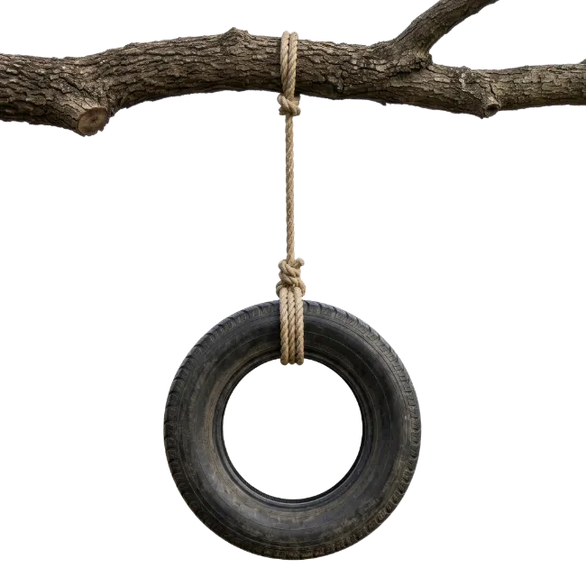 Tire Swing Hanging From Tree Branch