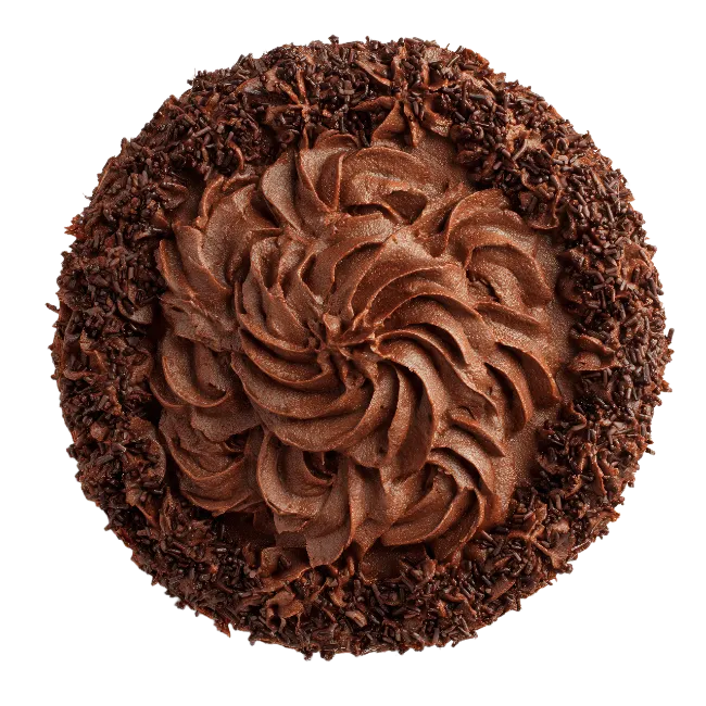 Top view of chocolate cake with sprinkles