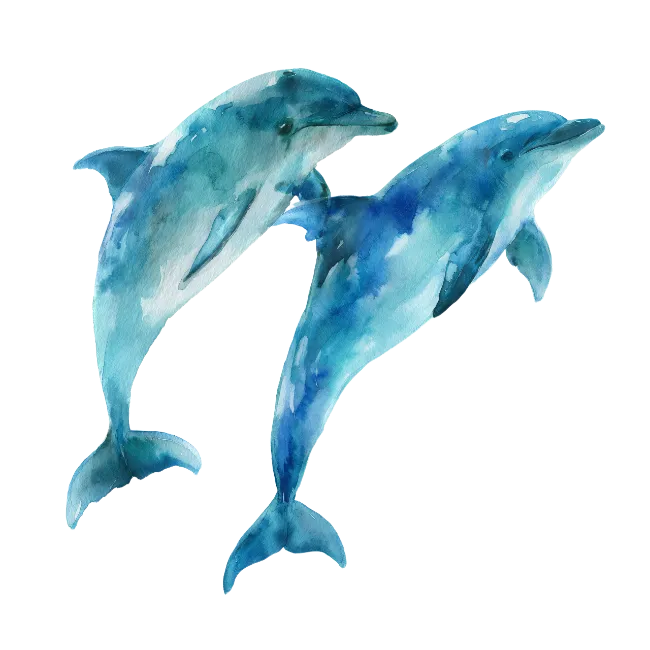 Two Blue Watercolor Dolphins Swimming Illustration