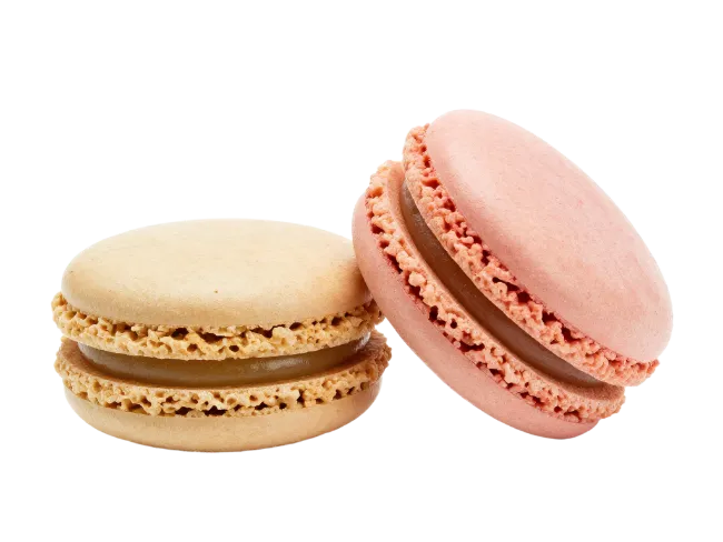 Two Delicious French Macarons