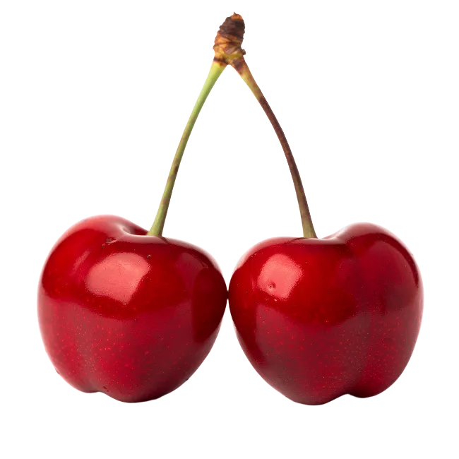 Two Fresh Red Cherries with Stems