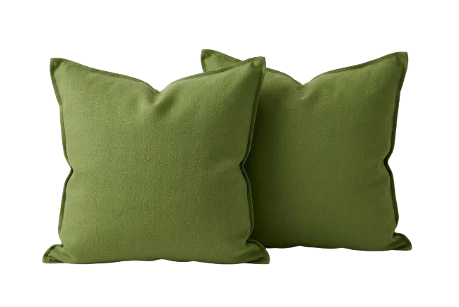 Two Olive Green Throw Pillows