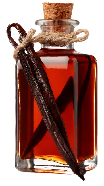 Vanilla Extract Bottle with Vanilla Pods
