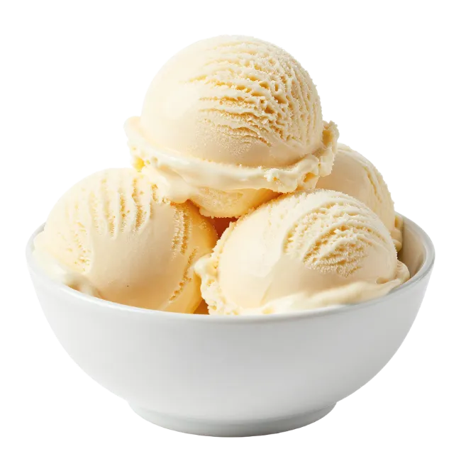 Vanilla Ice Cream Scoops in Bowl