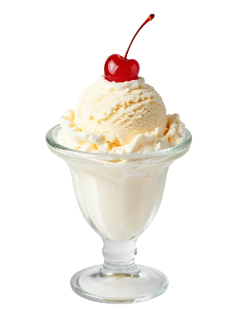 Vanilla ice cream sundae in a glass bowl