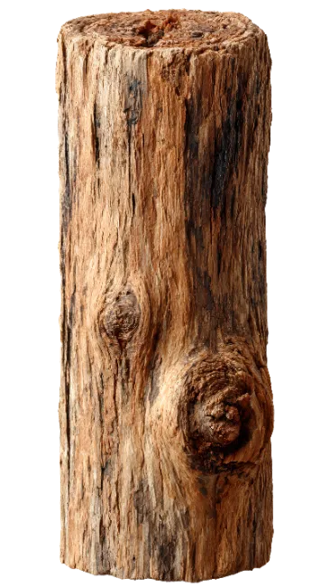 Vertical Wooden Log Cut Branch