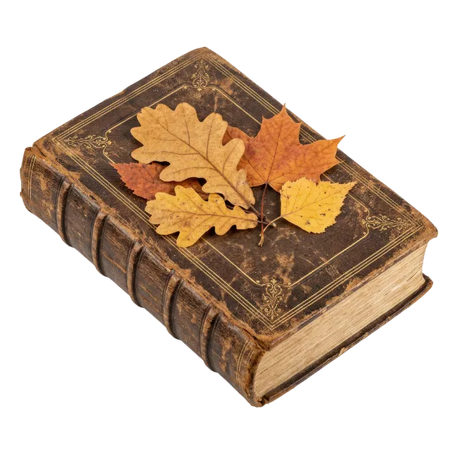 Vintage Book with Autumn Leaves