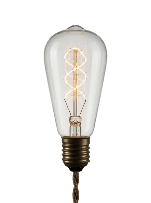 Vintage Edison light bulb with glowing spiral filament