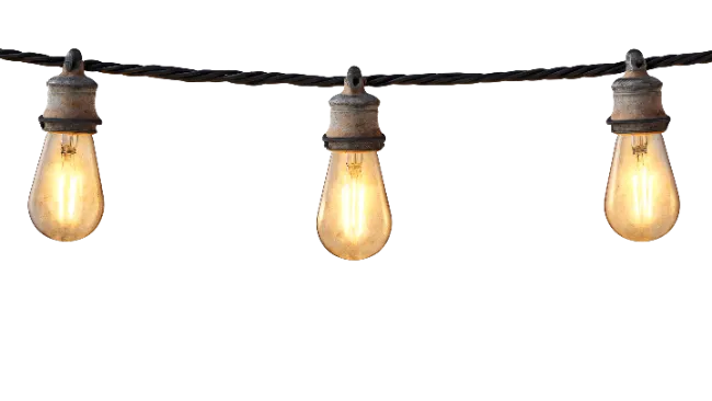 Vintage Edison String Lights Glowing