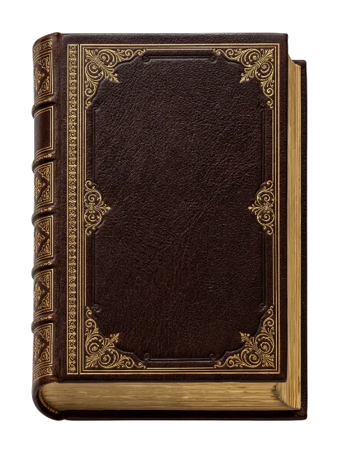 Vintage leather bound book with gold embossing