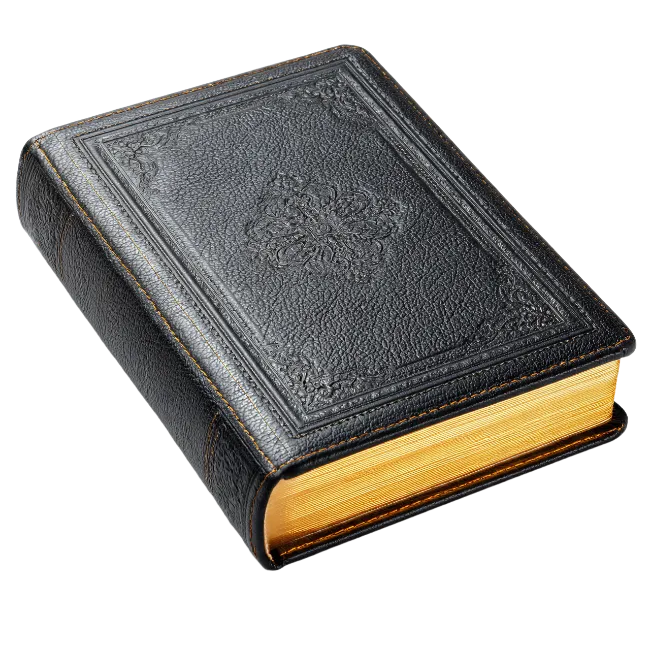 Vintage leather bound book with gold pages
