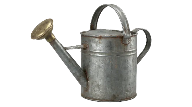 Vintage Metal Watering Can