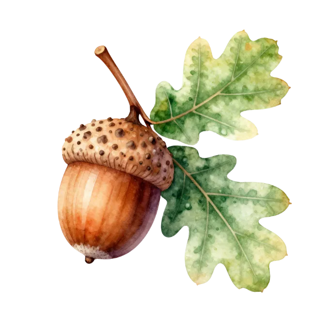 Watercolor Acorn with Oak Leaves