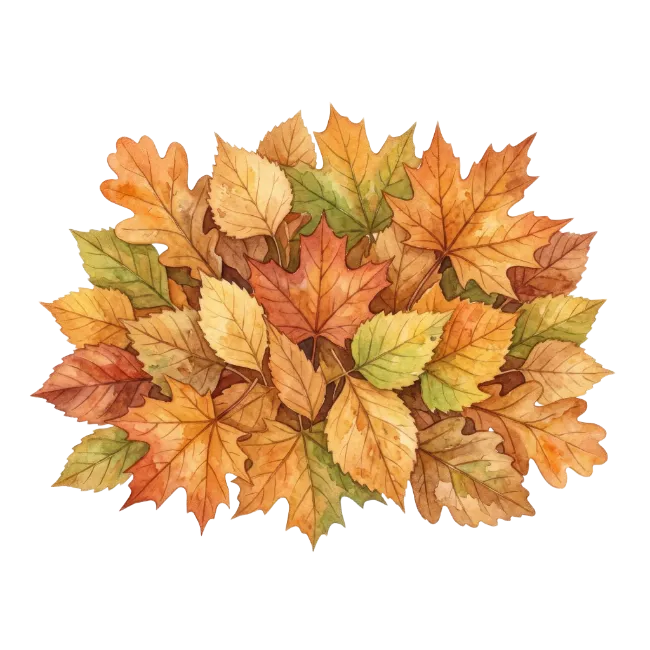 Watercolor Autumn Leaves Cluster
