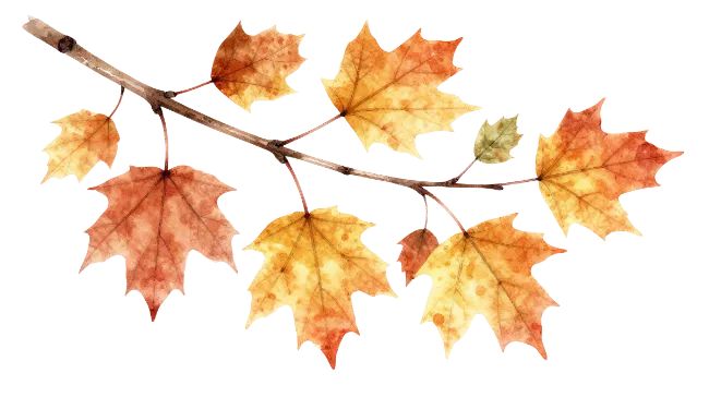 Watercolor Autumn Leaves on Branch
