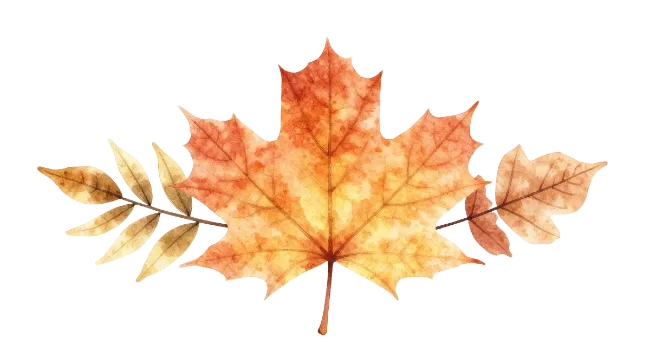 Watercolor Autumn Maple Leaf Arrangement