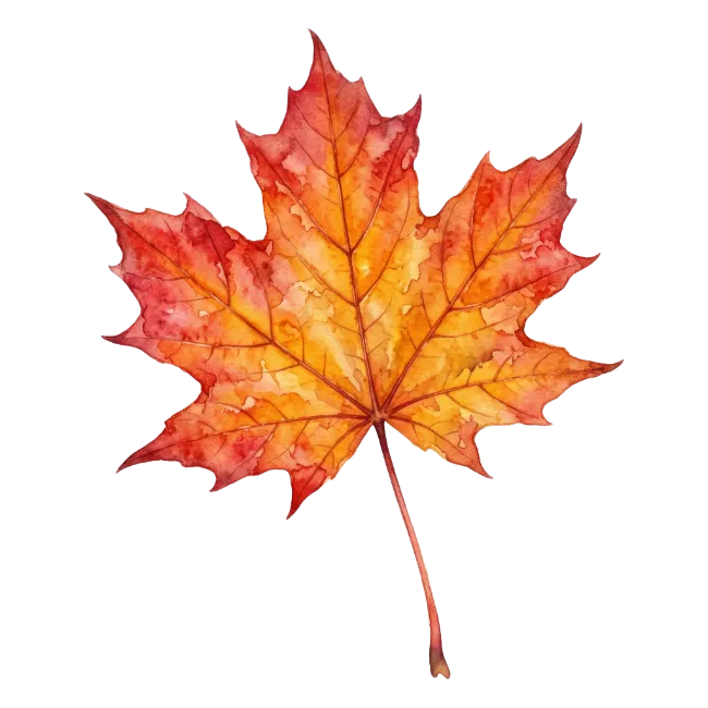 Watercolor Autumn Maple Leaf