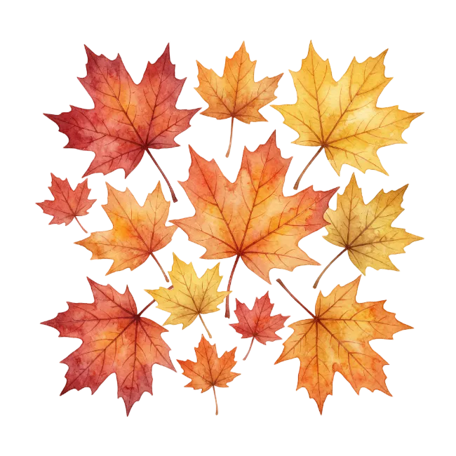Watercolor Autumn Maple Leaves