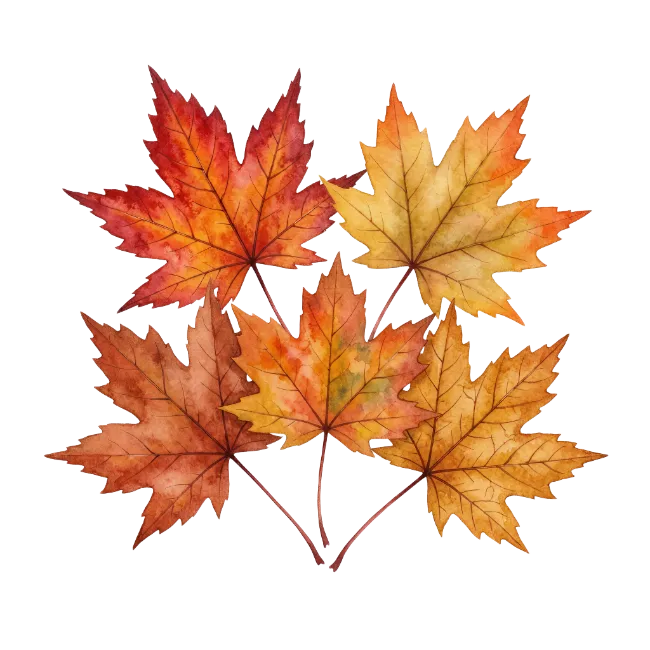 Watercolor Autumn Maple Leaves