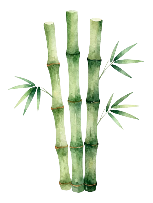 Watercolor Bamboo Stalks Illustration