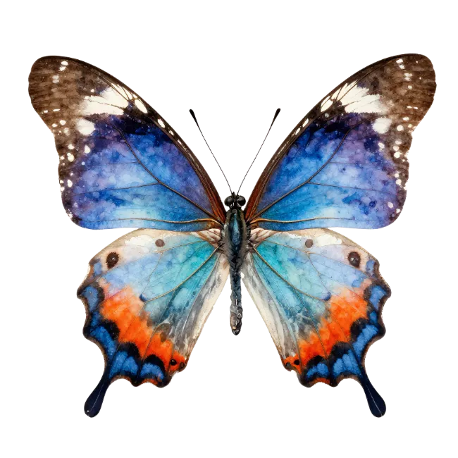Watercolor Blue Butterfly