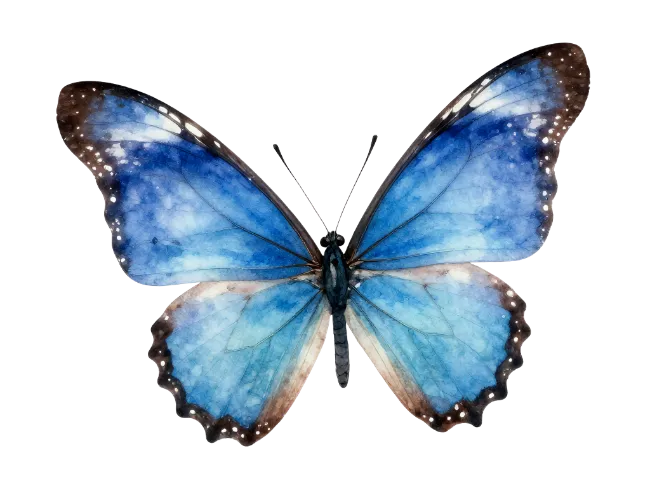 Watercolor Blue Butterfly Illustration