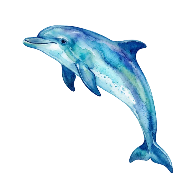 Watercolor Blue Dolphin Illustration