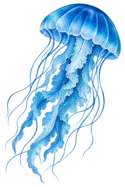 Watercolor Blue Jellyfish
