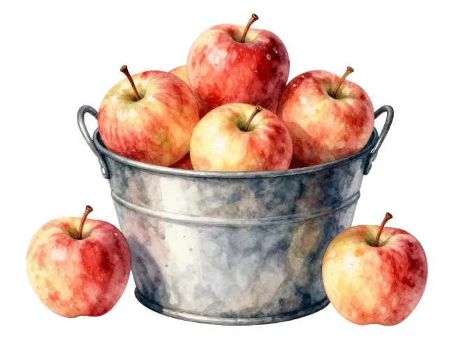 Watercolor Bucket of Fresh Red Apples