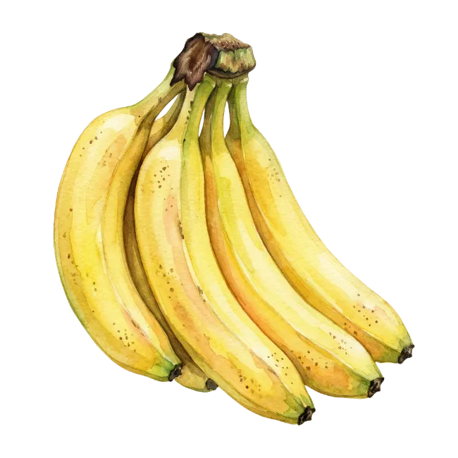 Watercolor Bunch of Bananas