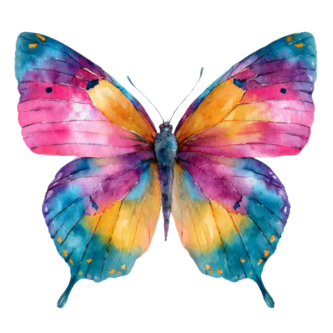 Watercolor Butterfly Illustration
