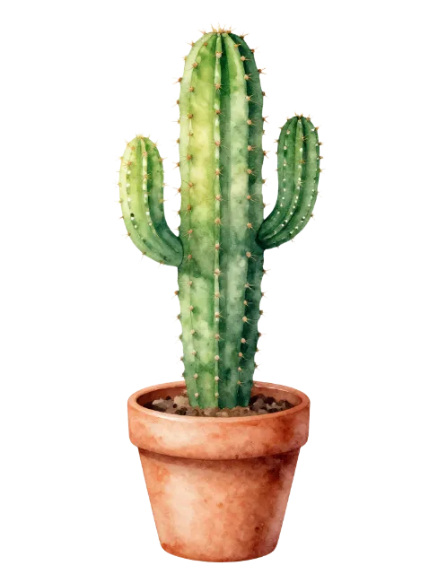Watercolor Cactus in Terracotta Pot