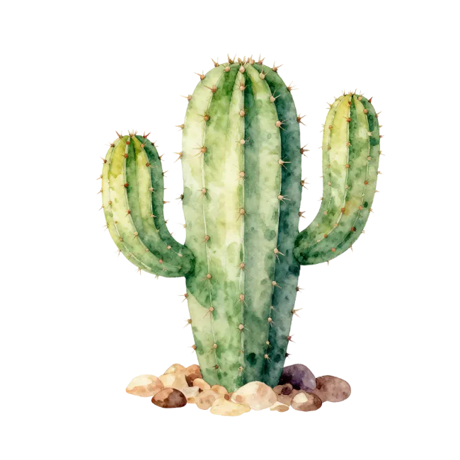 Watercolor Cactus Plant Illustration