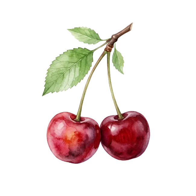 Watercolor Cherries with Leaves
