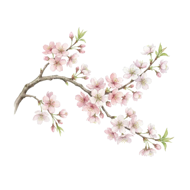Watercolor Cherry Blossom Branch