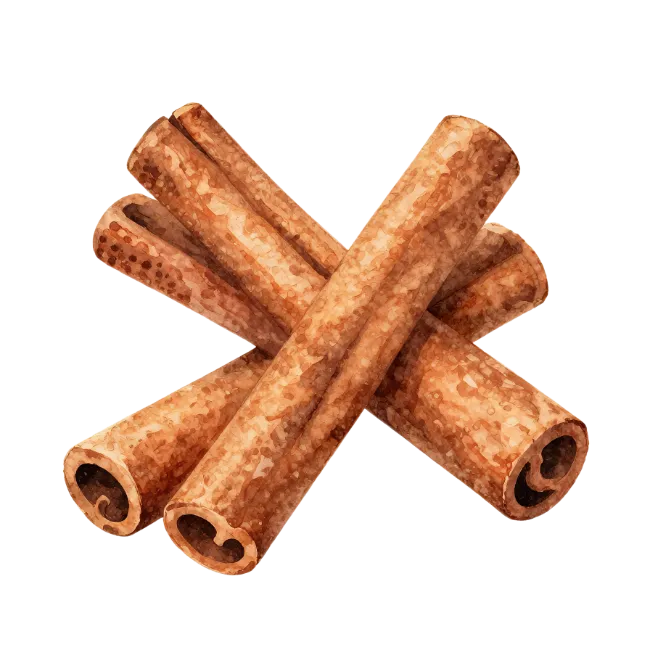 Watercolor Cinnamon Sticks Illustration