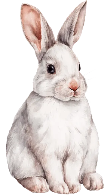 Watercolor Cute White Rabbit Illustration