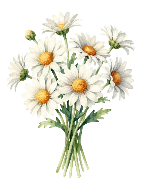 Watercolor Daisy Flower Bouquet