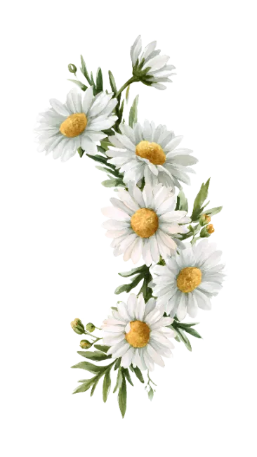 Watercolor Daisy Flower Garland