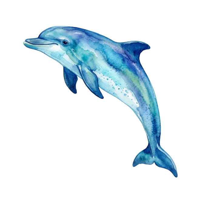Watercolor Dolphin Illustration