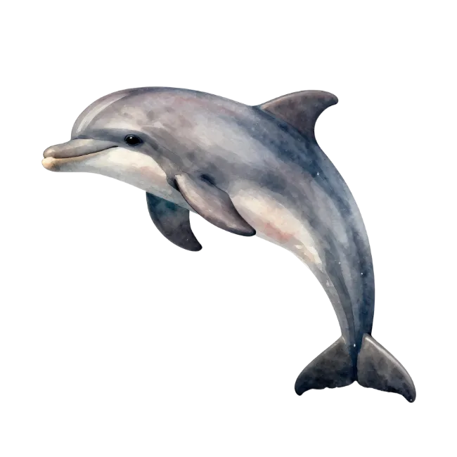 Watercolor dolphin leaping