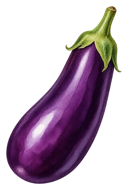 Watercolor Eggplant Illustration