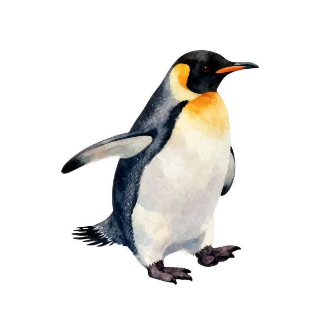 Watercolor Emperor Penguin Illustration