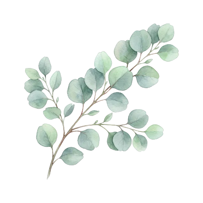 Watercolor Eucalyptus Branch