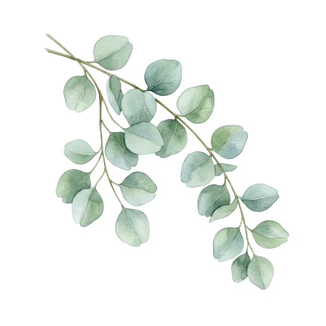 Watercolor Eucalyptus Branches