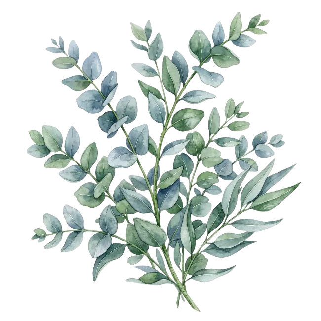 Watercolor Eucalyptus Branches