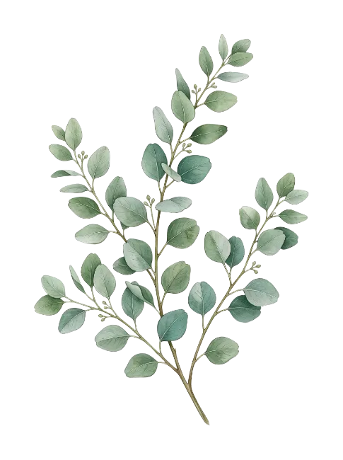 Watercolor Eucalyptus Branches with Green Leaves