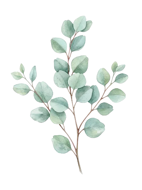 Watercolor Eucalyptus Branches with Green Leaves