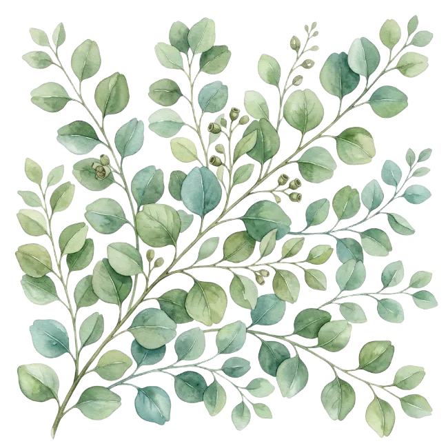 Watercolor Eucalyptus Branches With Green Leaves